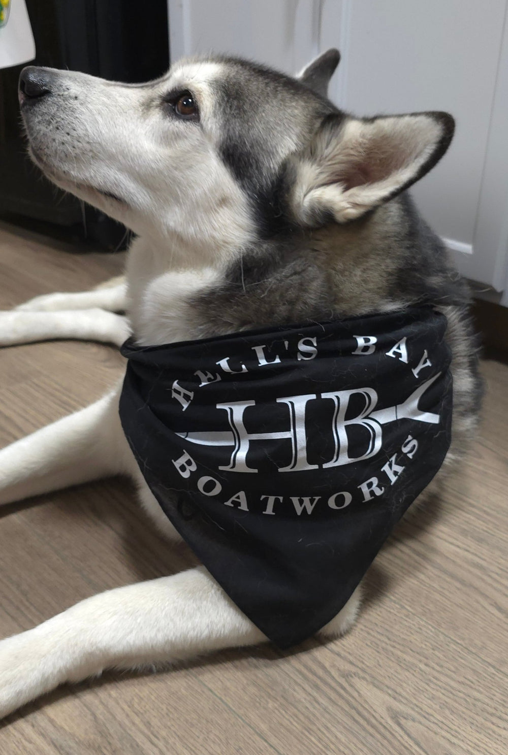 Hell's Bay Logo Dog Bandana